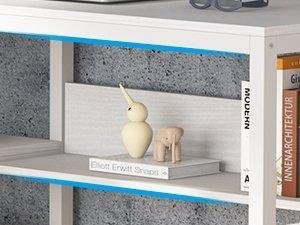 Hidden Lower Bookshelf