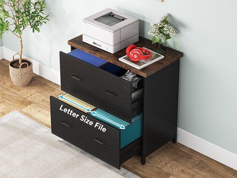 Lateral File Cabinet with 2 Letter Size File Drawers