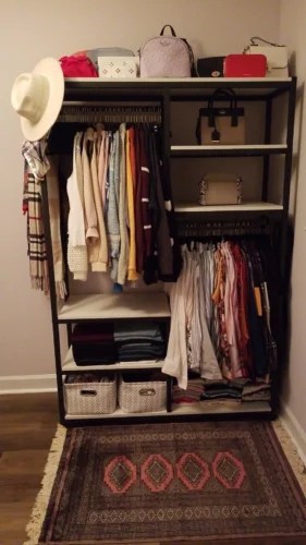 Freestanding Closet Organizer, 47 inches Wide Garment Racks photo review